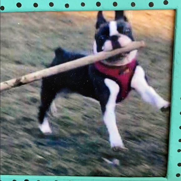 Meet your Posher, Doireann - Picture 1 of 1